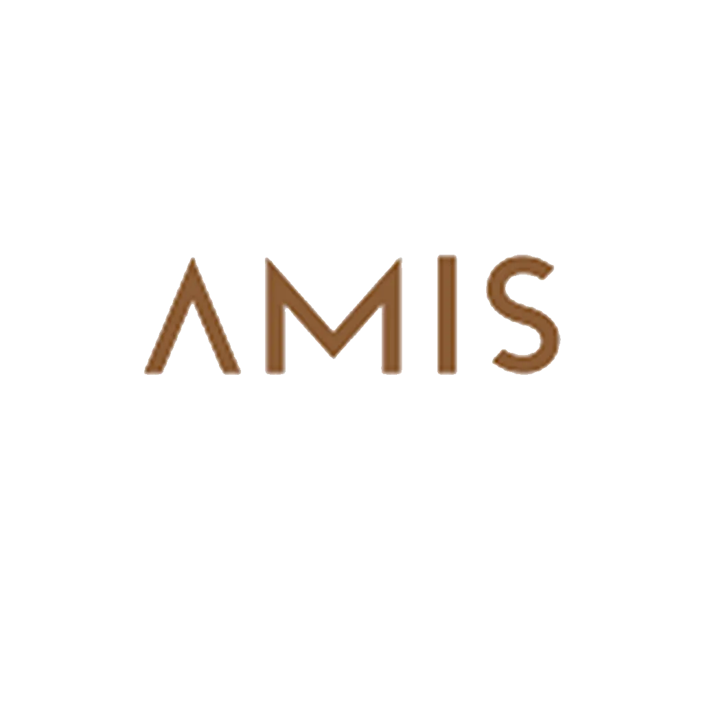 AMIS.webp